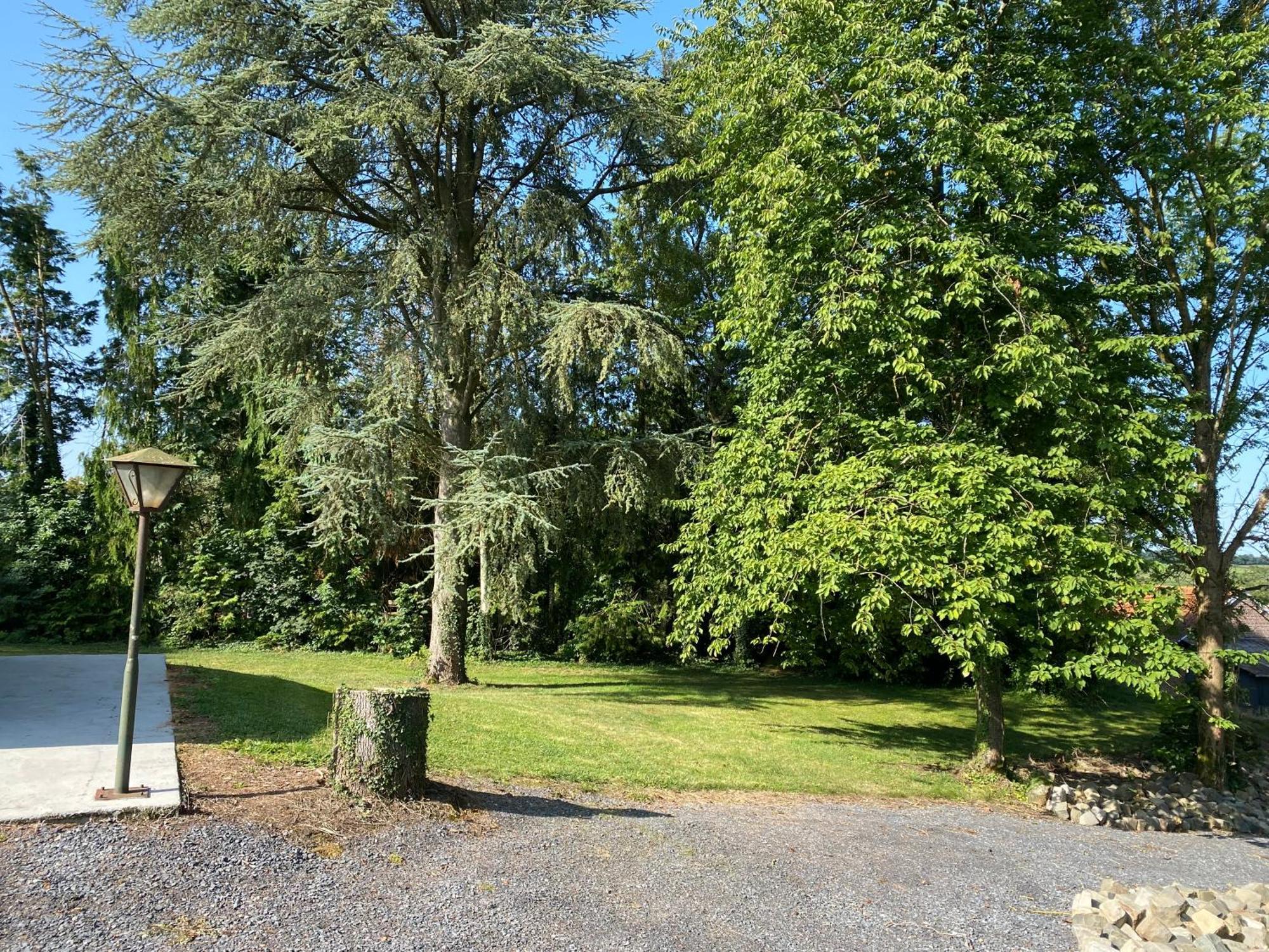 Villa Au Cedre Bleu à Carnoy Extérieur photo